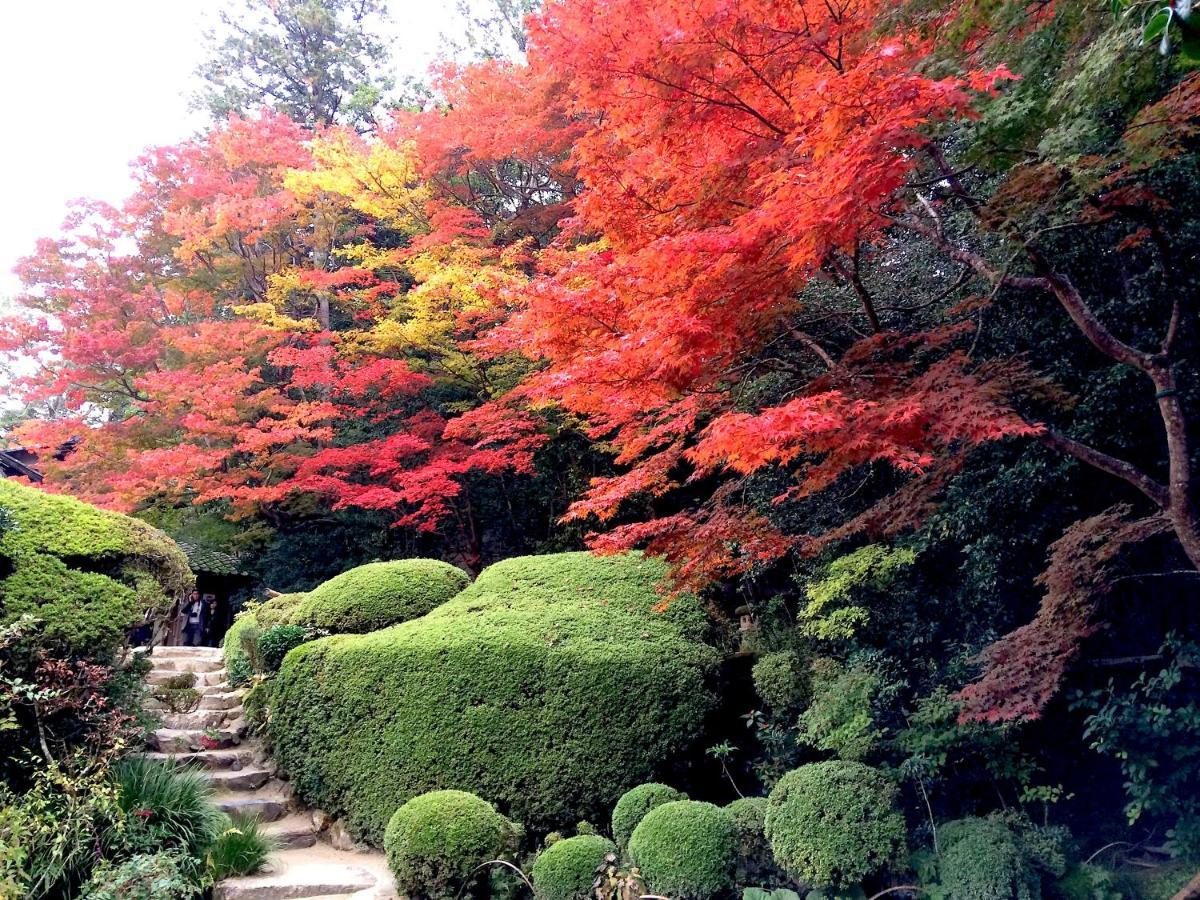 Sanzen Ya Kyoto さんぜんやきょうと- Cozy Art Space For Lover Of Travel - Exterior foto